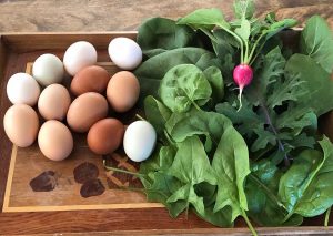 Farm fresh eggs and greens